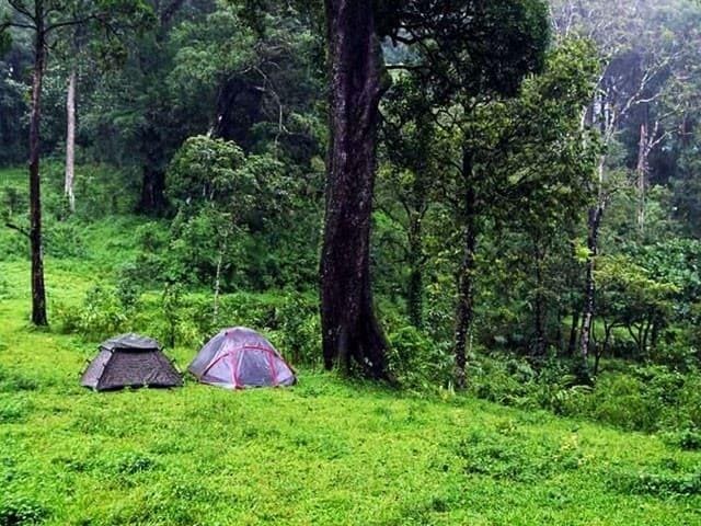 Camping and trekking Munnar
