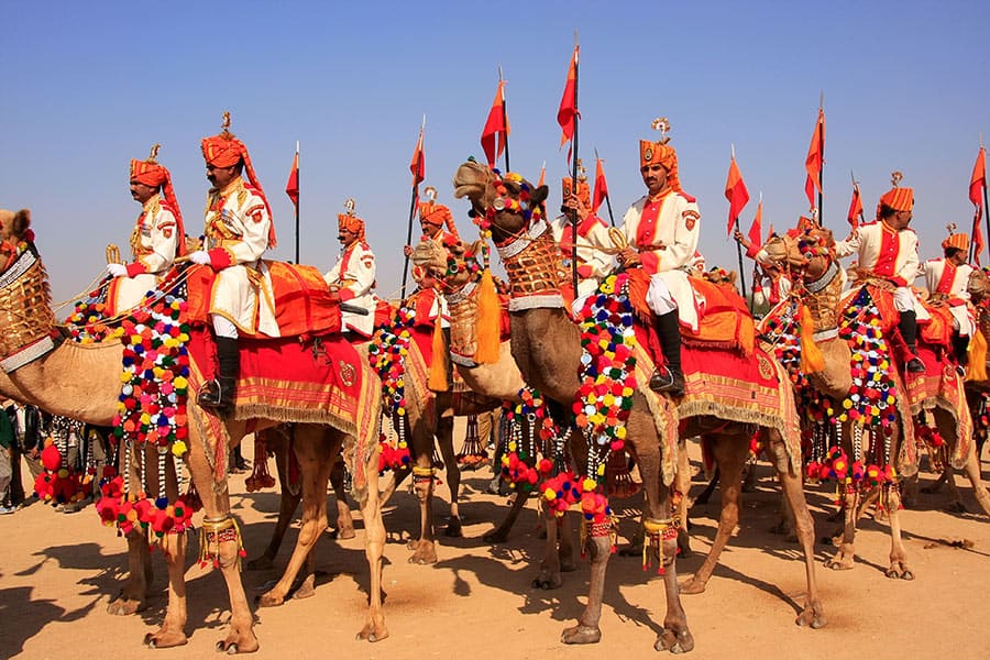 Desert Festival